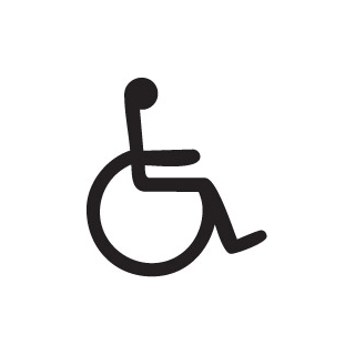 (PIC3)Handicap